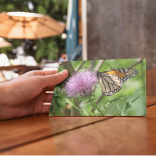Butterfly feasting on purple thistle postcard