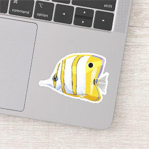 Butterfly fish 