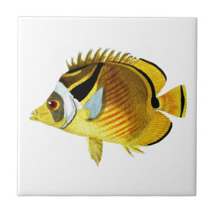 Butterfly Fish no.4 Tropical Coastal Home Decor Ceramic Tile