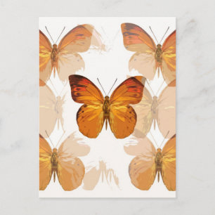 Butterfly Flies Postcard