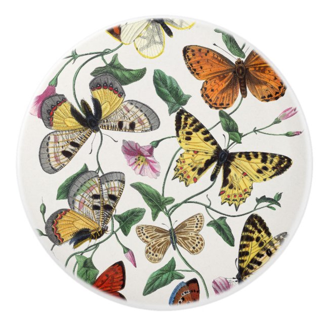 Butterfly Floral Drawer Knob (Front)
