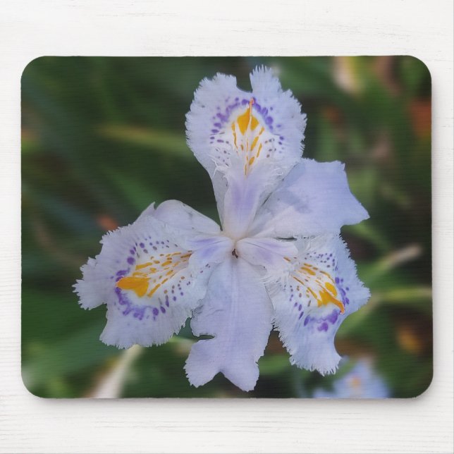 Butterfly Flower Mouse Pad (Front)
