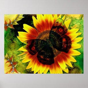 Butterfly Flower Poster