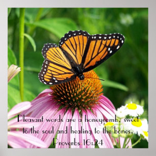 butterfly flower proverbs bible verse reminder poster