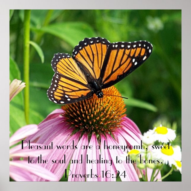 butterfly flower proverbs bible verse reminder poster (Front)