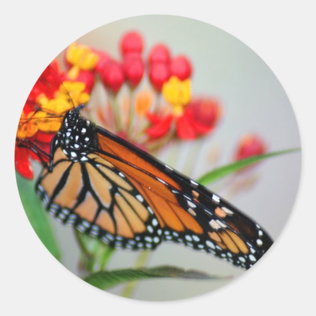 Butterfly & Flower Stickers (Front)