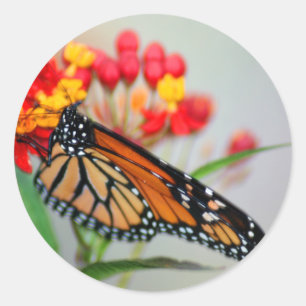 Butterfly & Flower Stickers