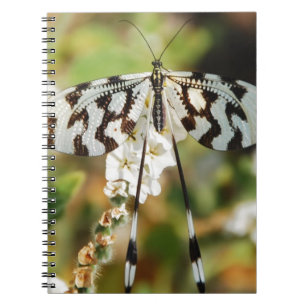Butterfly Flowers Blossoms Wedding Shower Peace Notebook