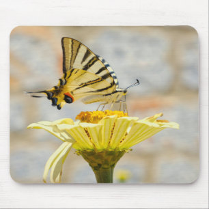 butterfly, flowers, nature mouse pad