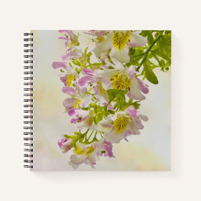 Butterfly Flowers Notebook (Front)