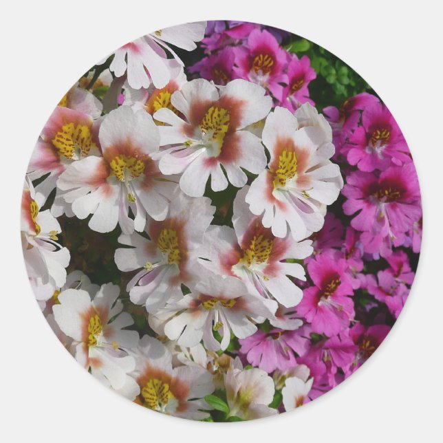 Butterfly Flowers White Pink and Purple Classic Round Sticker (Front)