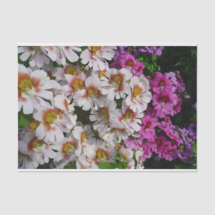 Butterfly Flowers White Pink and Purple Tissue Paper