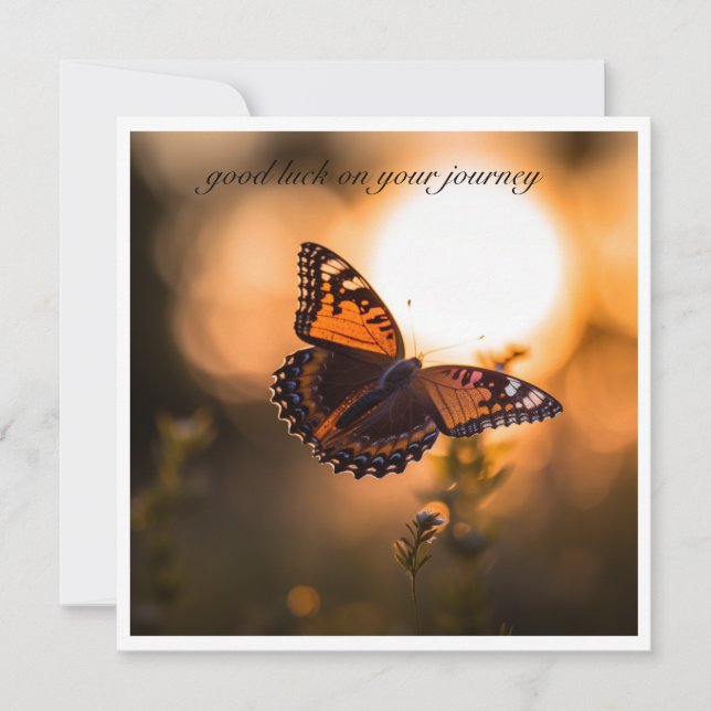 Butterfly flying into the sunset, customisable (Front)
