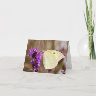 Butterfly for Graduation and Inspirational Card