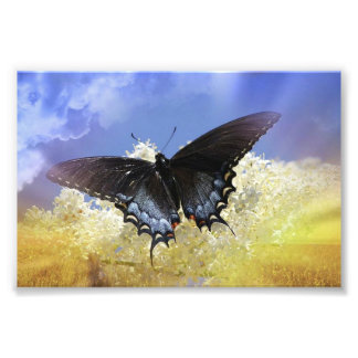 Butterfly Freedom Photo Print