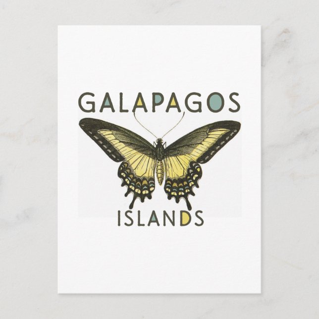 Butterfly Galapagos Islands Postcard (Front)