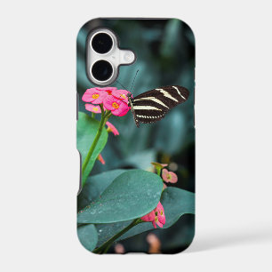 butterfly,garden,field,nature,beauty,green,wings,g