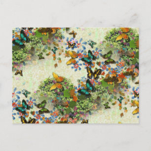 BUTTERFLY GARDEN PC5 Design Postcard