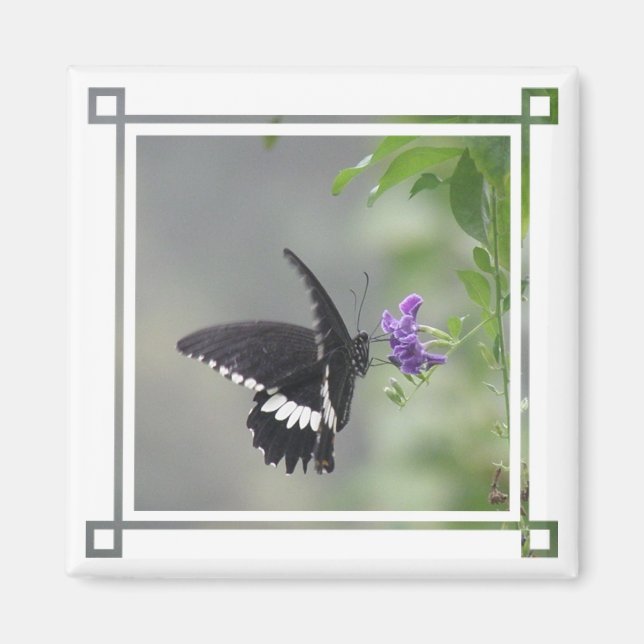Butterfly Garden Square Magnet (Front)