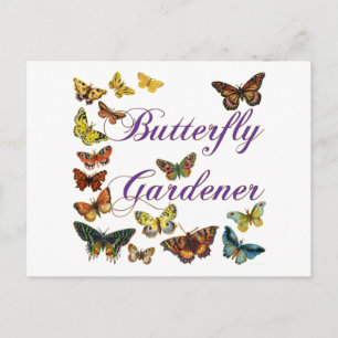 Butterfly Gardener Saying Postcard