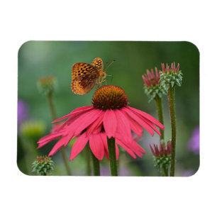 Butterfly Gathering Nectar Magnet