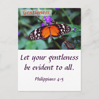 Butterfly - Gentleness Postcard