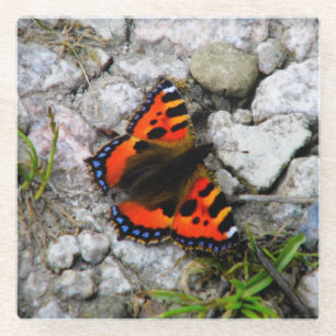 Butterfly glass coaster