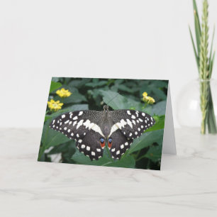 Butterfly Greeting Card