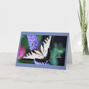 Butterfly Greeting Card