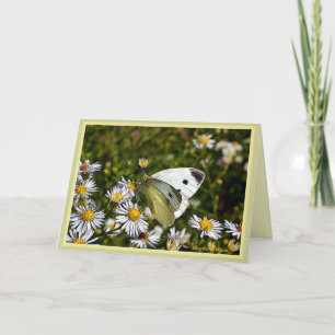 Butterfly Greeting :Card Card