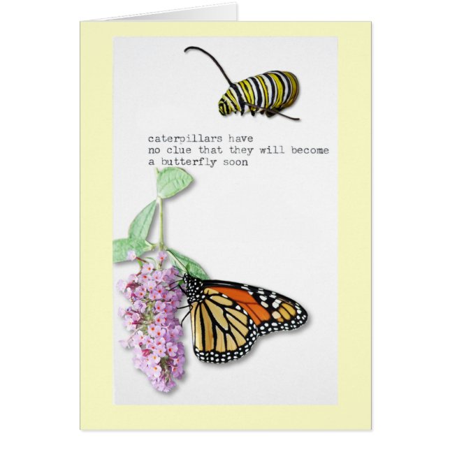 Butterfly Haiku (Front)