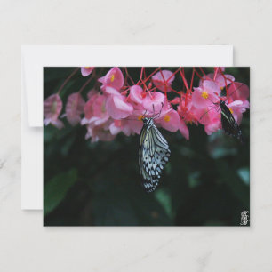Butterfly Hanging from Flowers Card