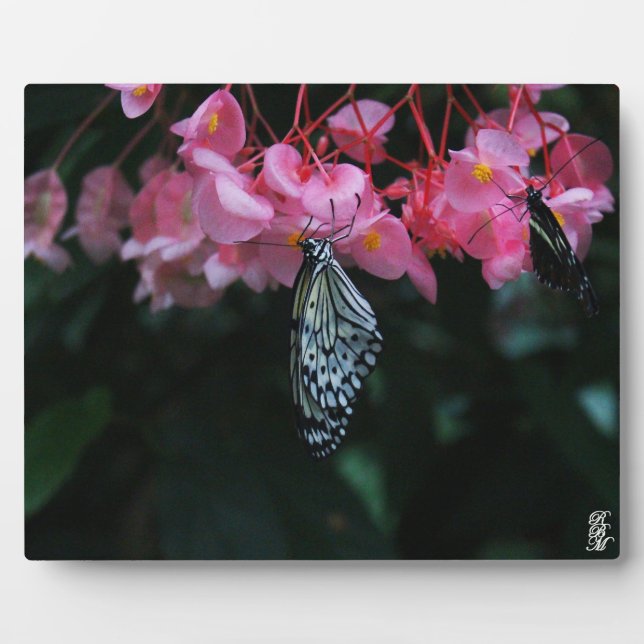 Butterfly Hanging from Flowers Plaque (Front)