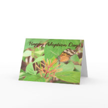 butterfly, Happy Adoption Day!