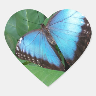 Butterfly Heart Sticker