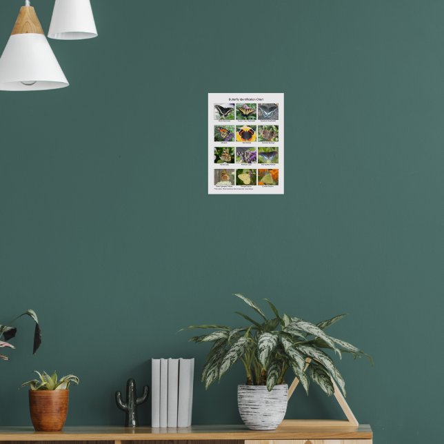 Butterfly identification  poster (Living Room 1)