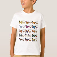 Butterfly Identification