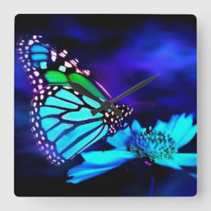Butterfly in Blue Light Square Wall Clock