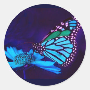 Butterfly in Blue Light Sticker