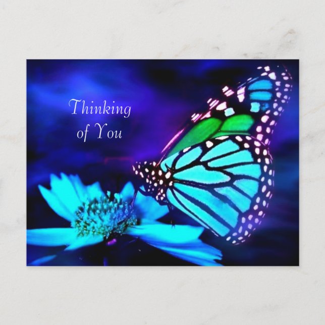 Butterfly in Blue Light - Thinking of You Postcard (Front)