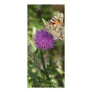 Butterfly in Nature Photography Rackcard Rack Card