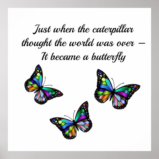 Butterfly Inspirational Encouragement Quote Poster (Front)