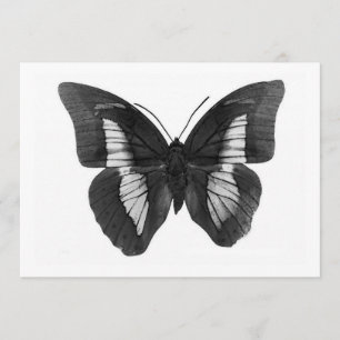 Butterfly Invitation