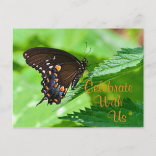 Butterfly Invitation Postcard