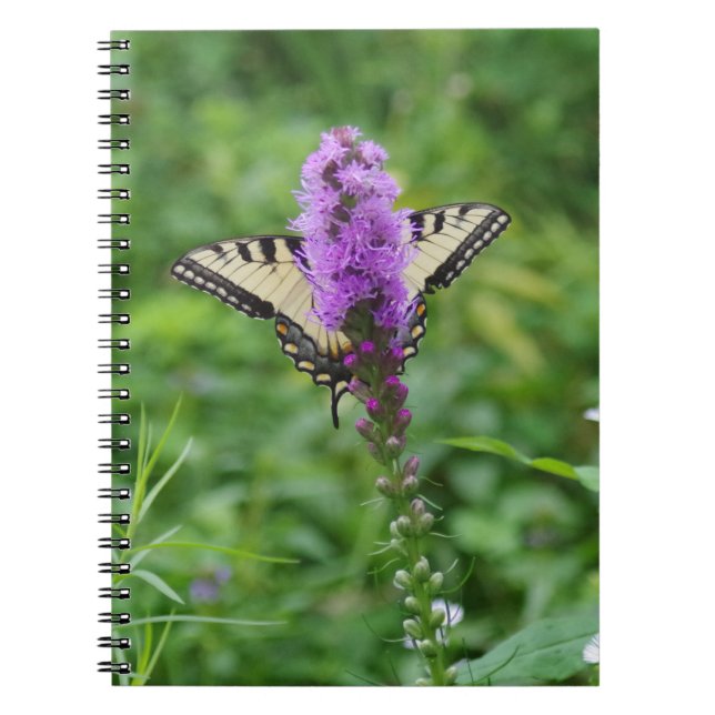Butterfly Journal (Front)