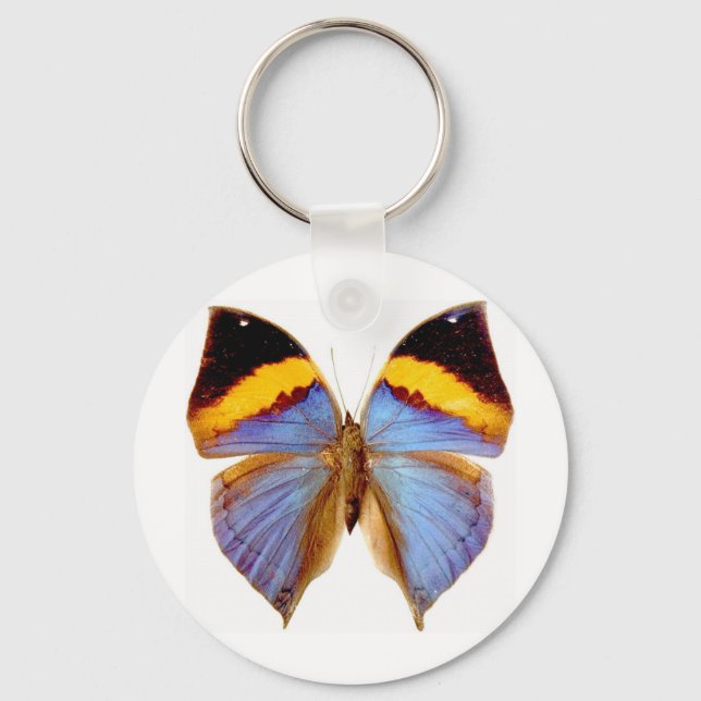 Butterfly Key Ring (Front)