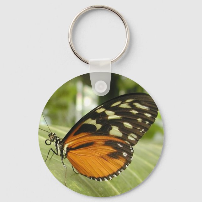 butterfly keychain (Front)