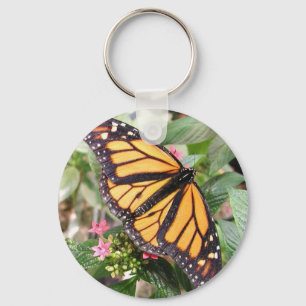 butterfly keychain