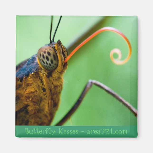 Butterfly Kisses Magnet (Front)