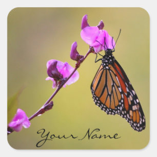 Butterfly Kisses Stickers *personalise*
